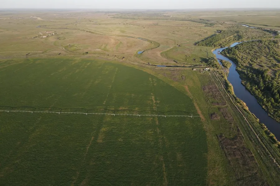 Поле люцерны под круговым дождевателем у реки, вид с дрона